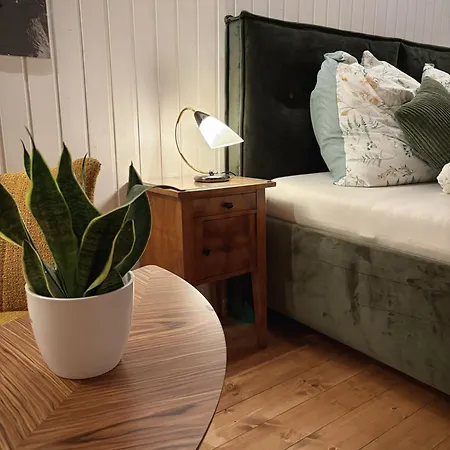 Antique In The Heart Of The Alps Apartamento *